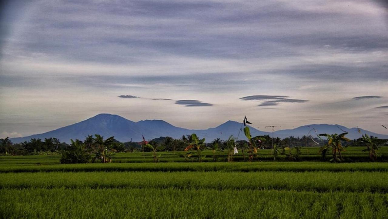 Pnb Bali Villas チャングー エクステリア 写真