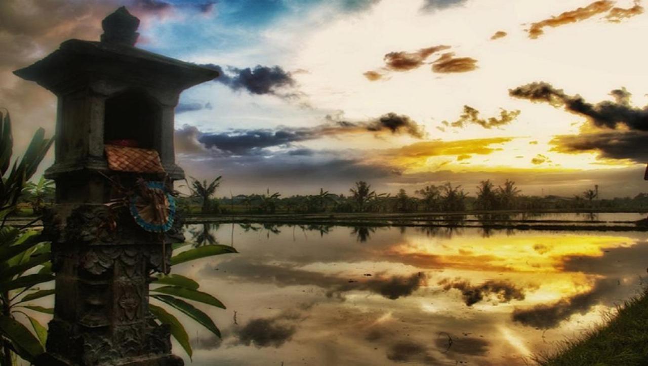 Pnb Bali Villas チャングー エクステリア 写真